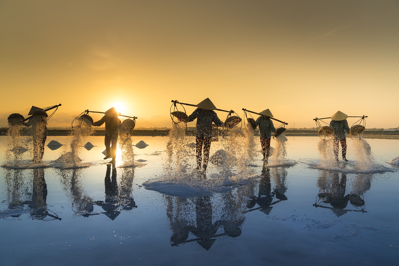 salt-harvesting-3060093_1280